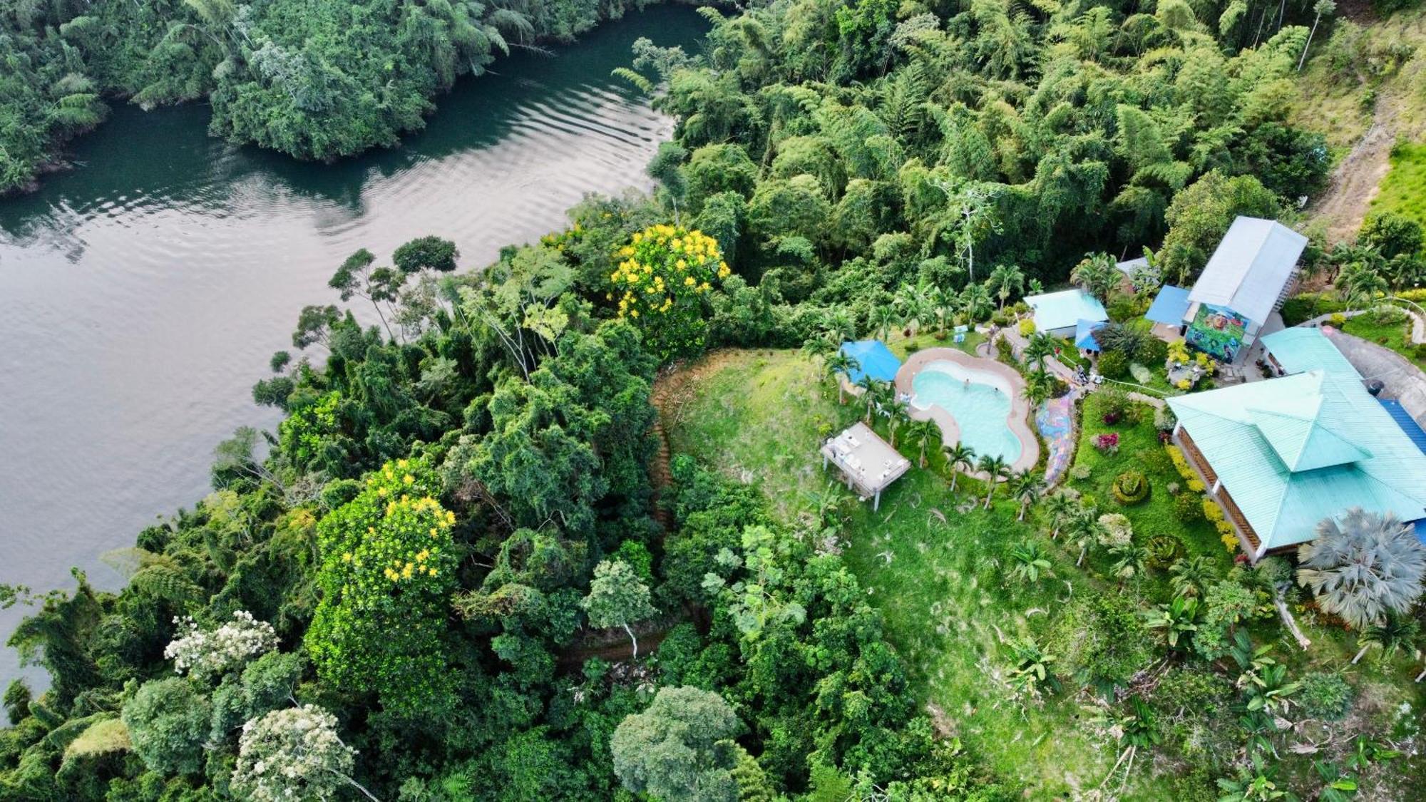Ecohotel Campo Alegre Norcasia Caldas エクステリア 写真